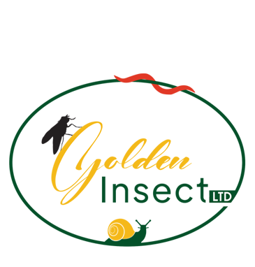 Golden Insect